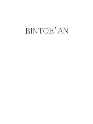 cover image of BINTOE'AN I